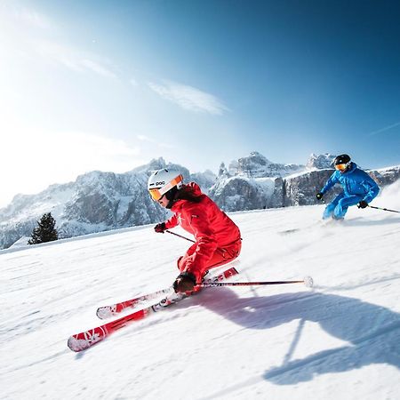 Dolomites Wellness Hotel Savoy ลาวิลลา ภายนอก รูปภาพ